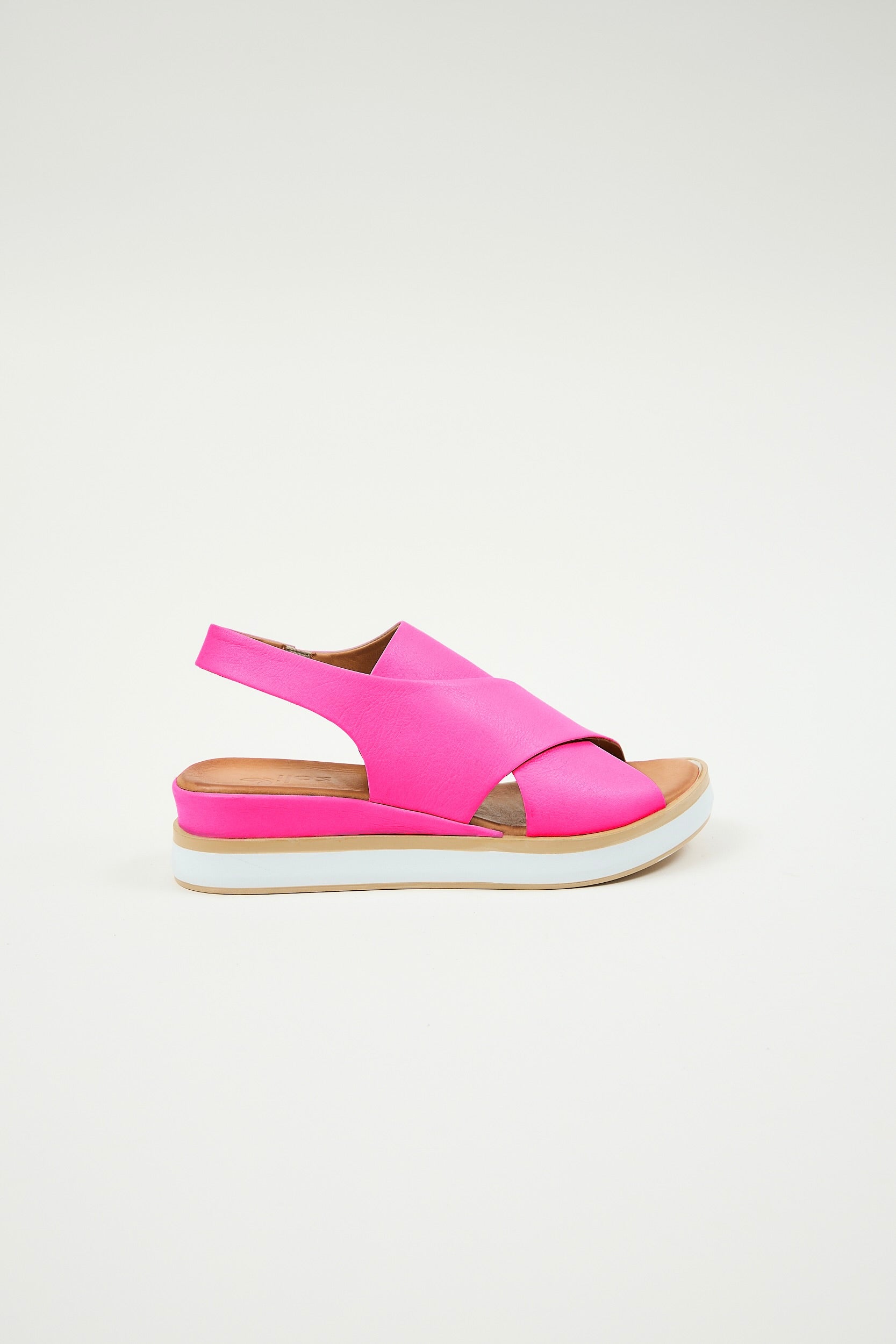 Maisie Fuchsia