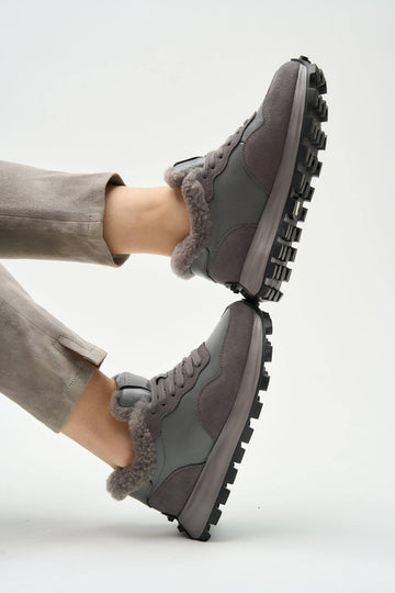 Chestnut Grey
