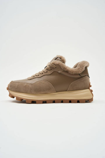 Chestnut Beige