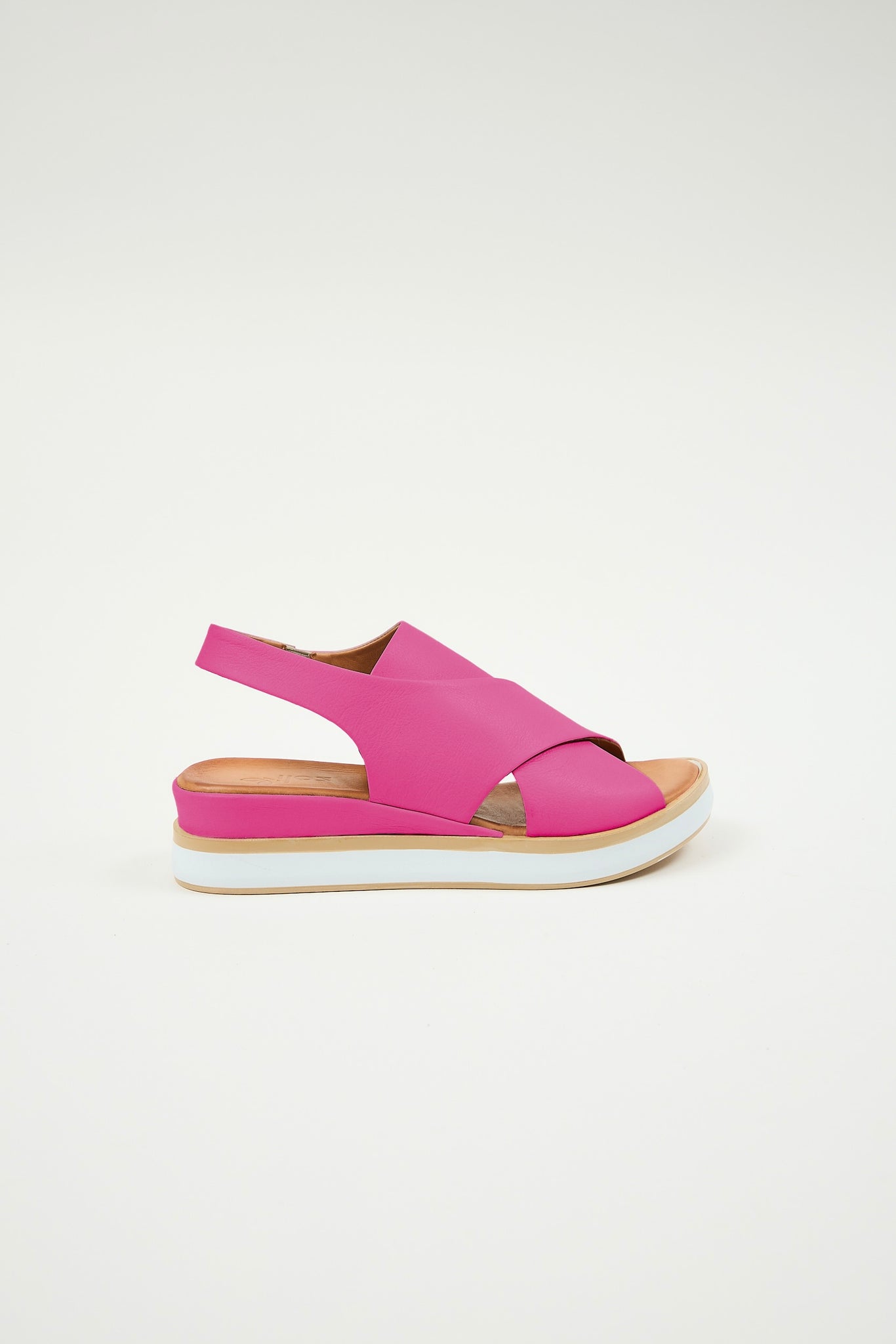 Maisie Fuchsia