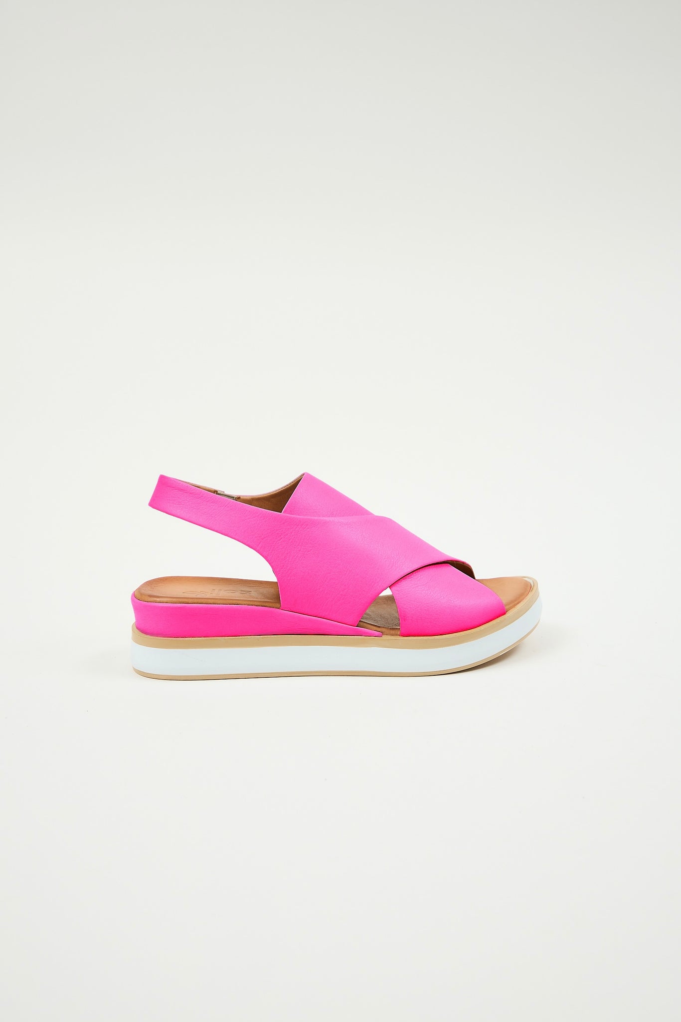 Maisie Fuchsia