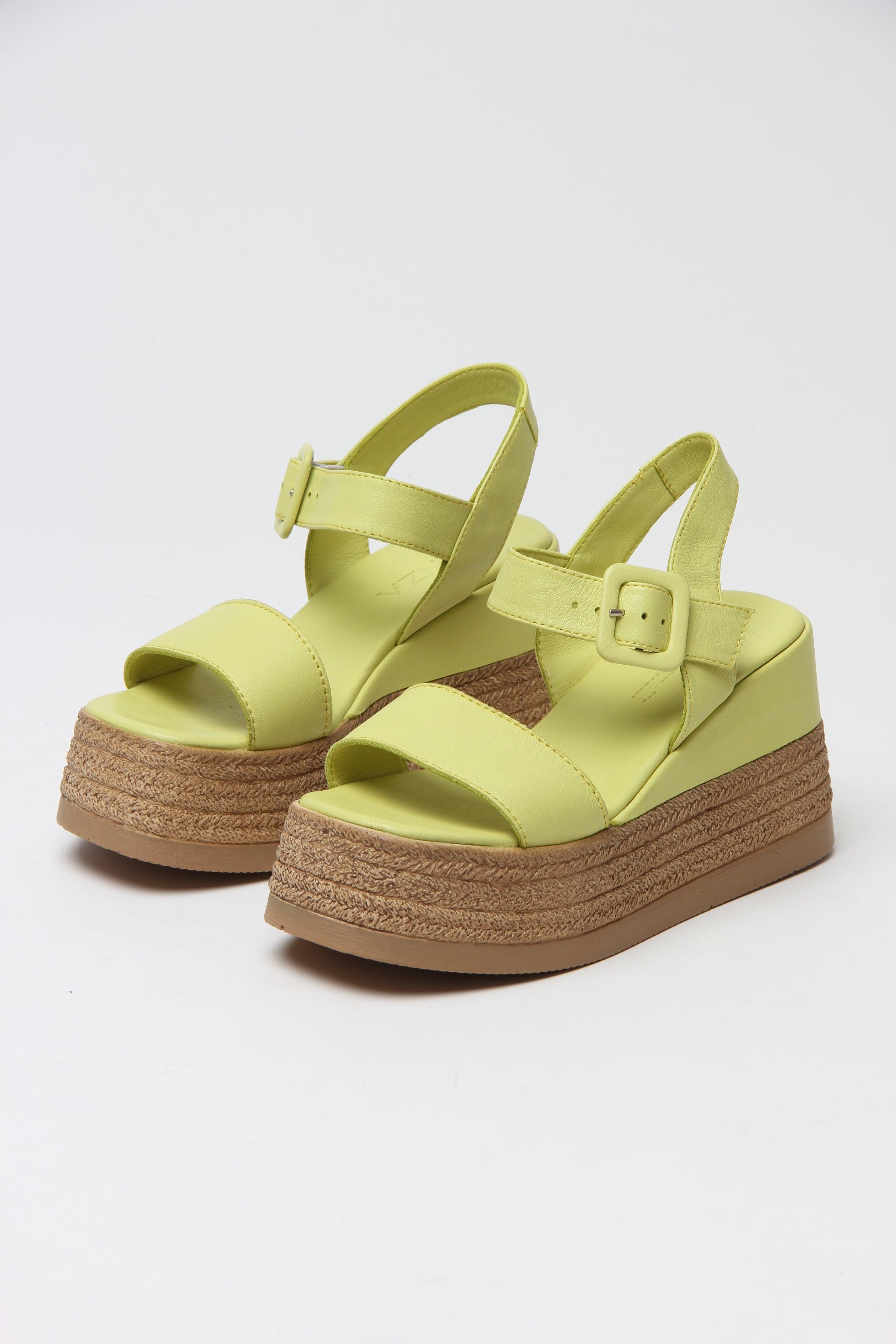 Venetia Lime