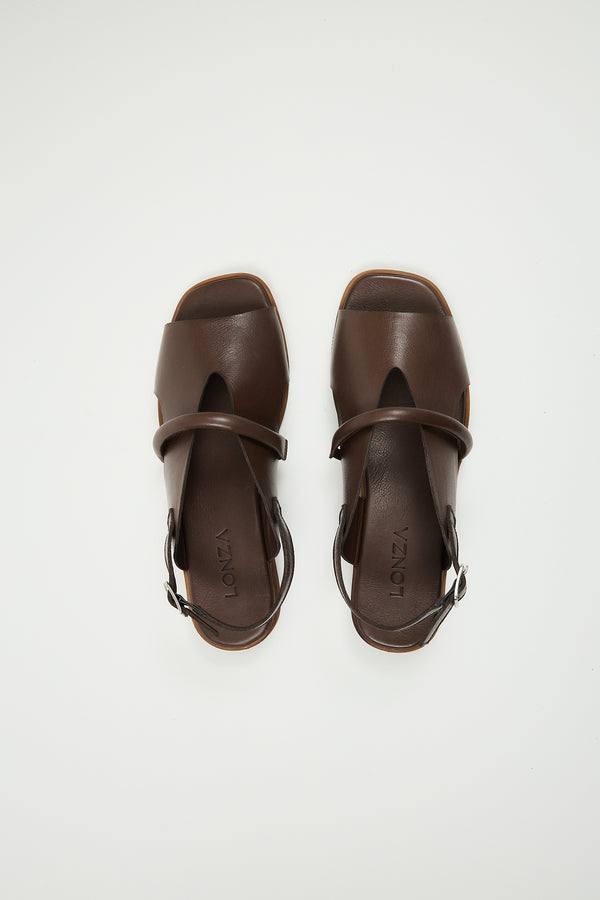 Bergen Brown