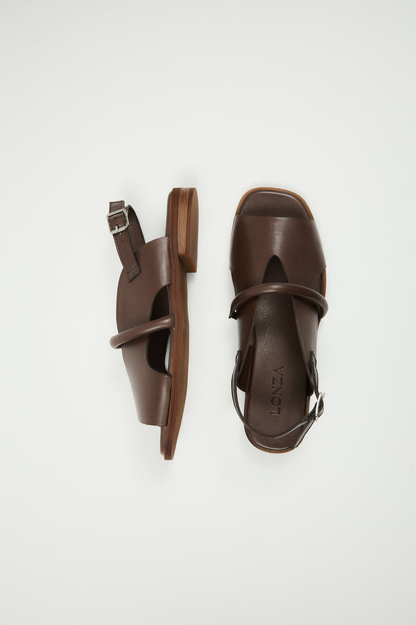 Bergen Brown