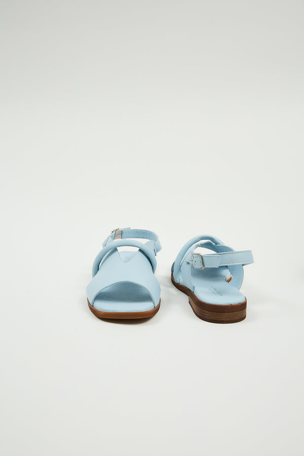 Bergen Blue