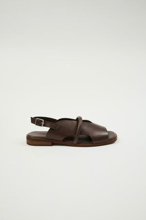 Bergen Brown