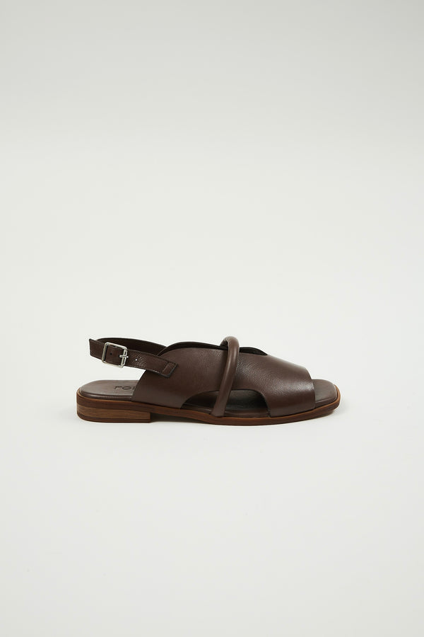 Bergen Brown