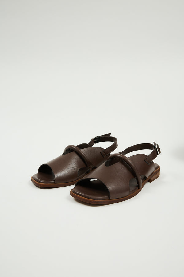 Bergen Brown