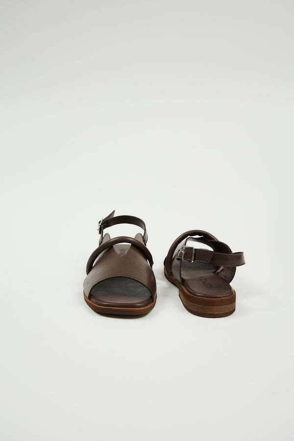 Bergen Brown