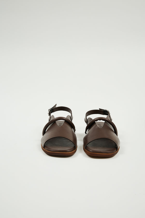 Bergen Brown