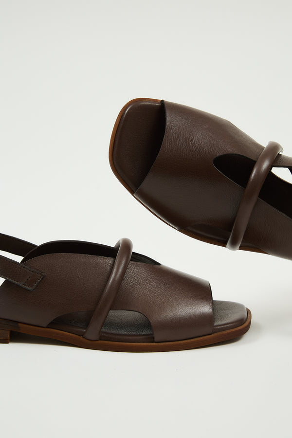 Bergen Brown