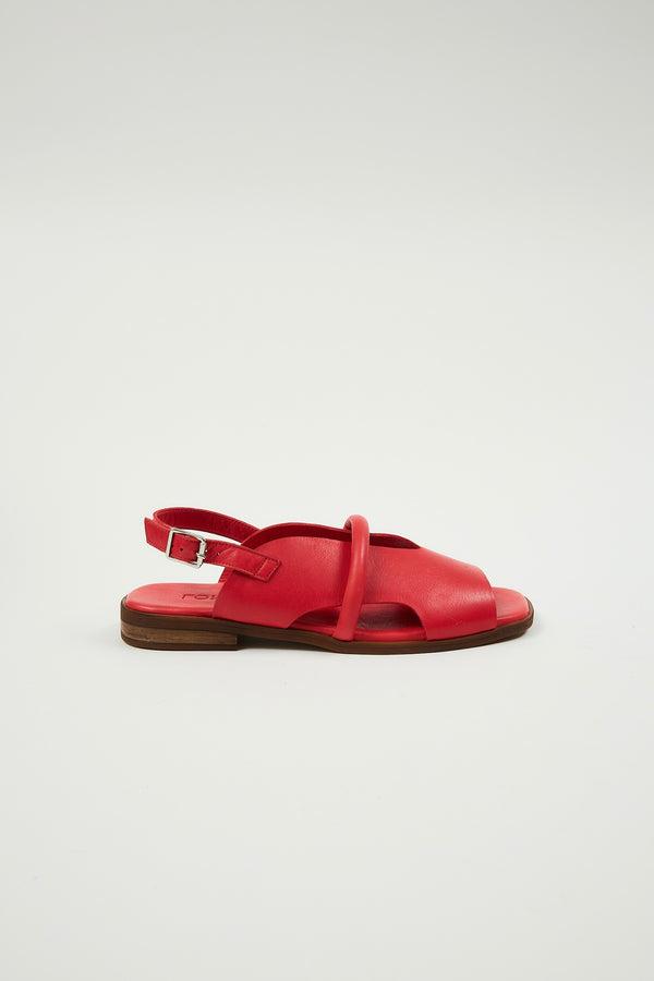 Bergen Red