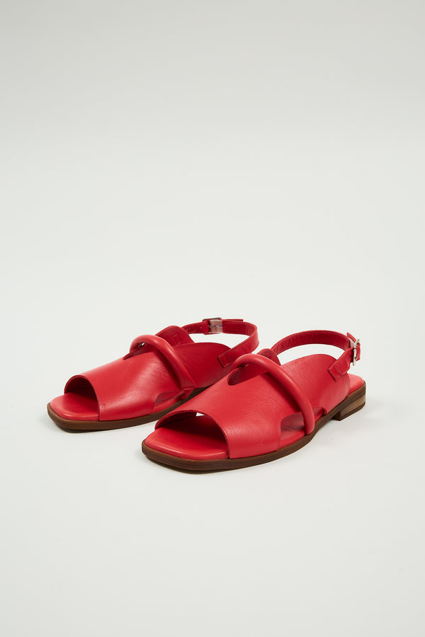 Bergen Red