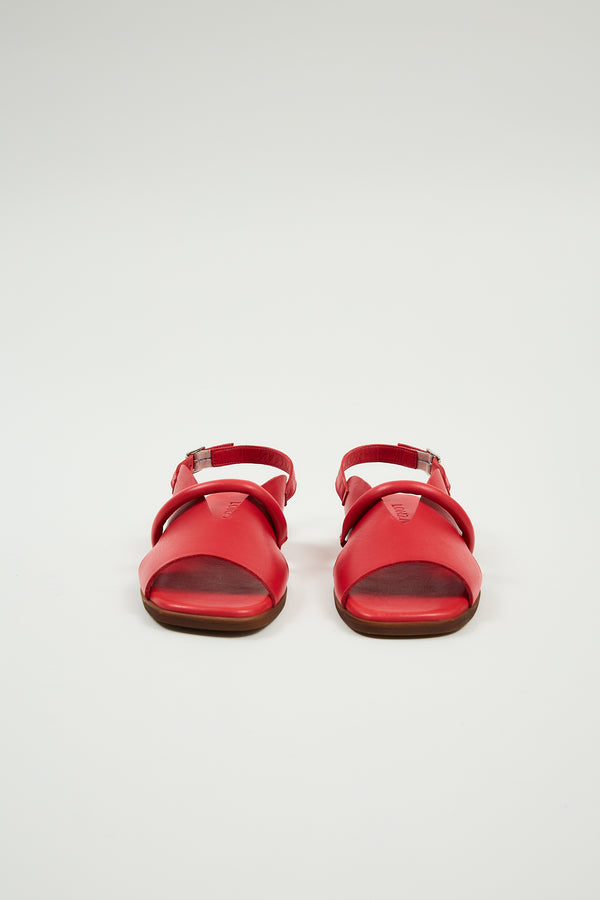 Bergen Red