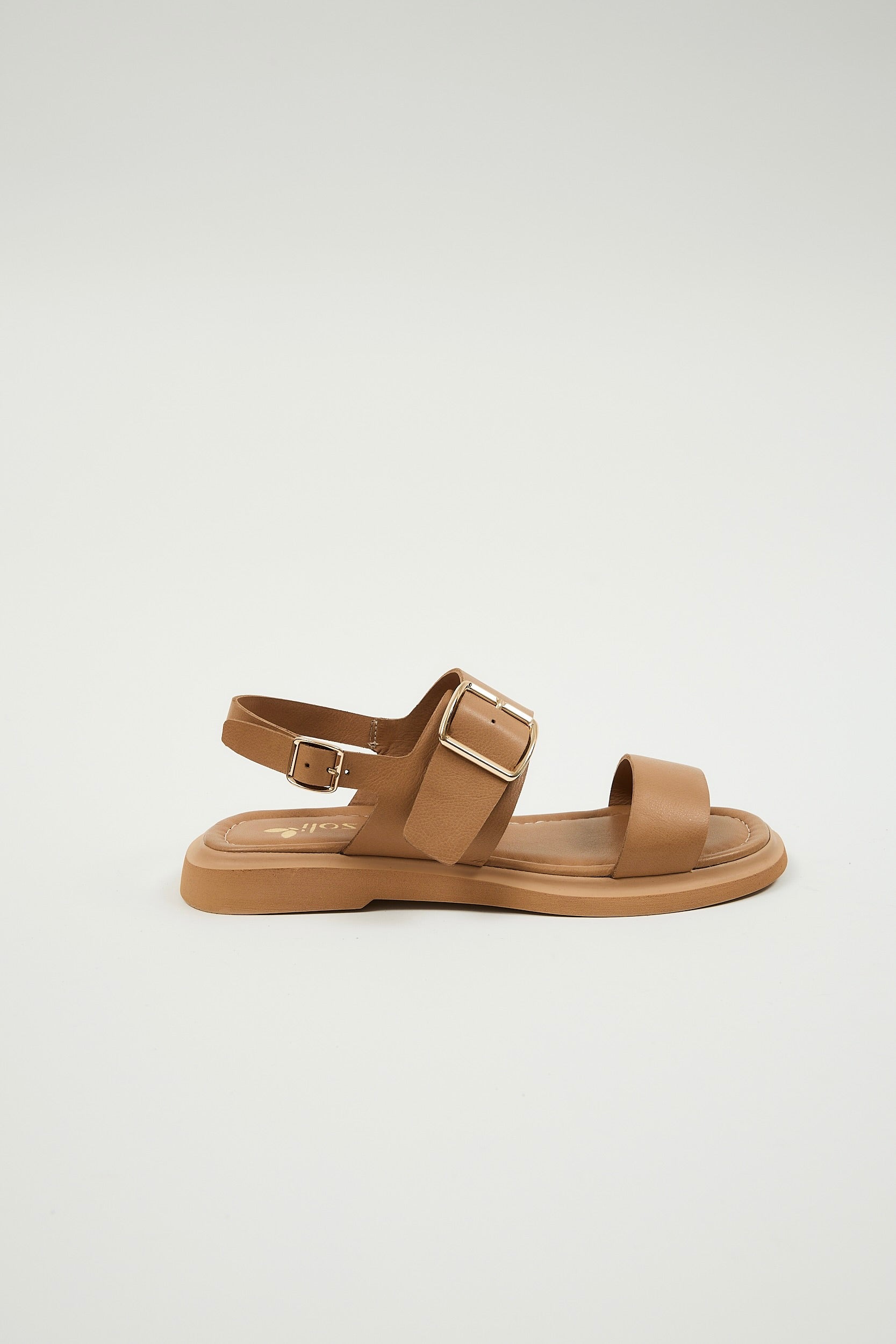 Delfina Camel