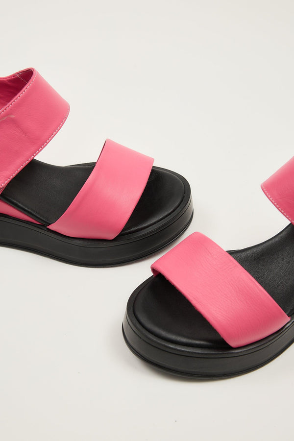 Cample Platforms Fuchsia