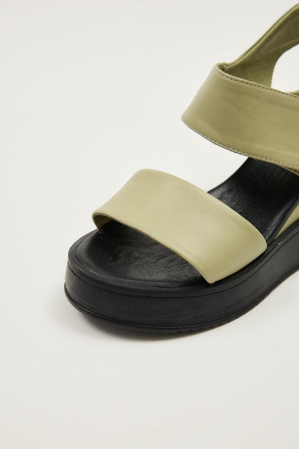 Cample Platforms Avocado