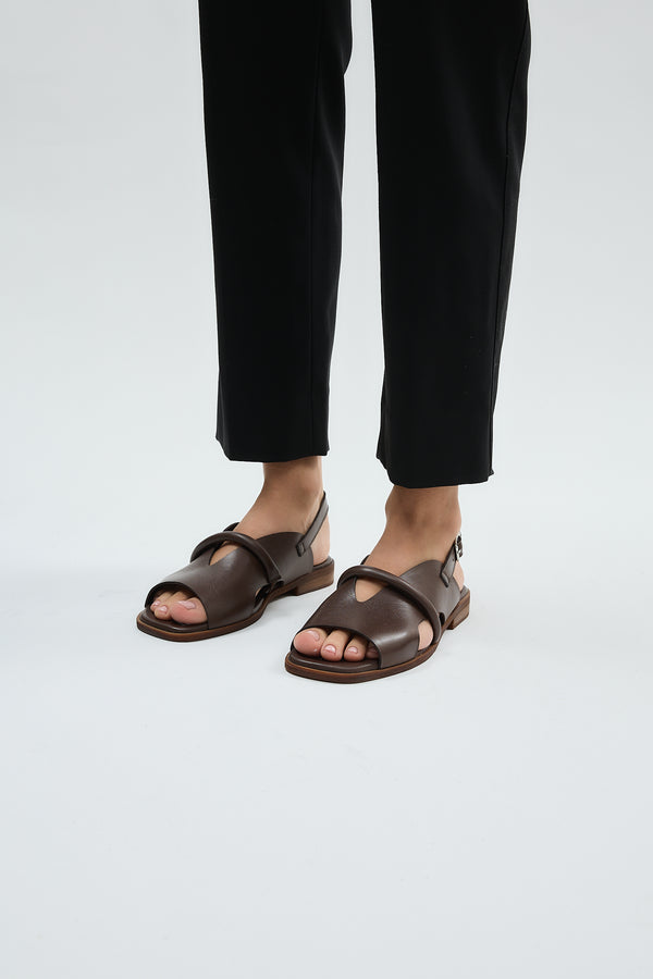 Bergen Brown