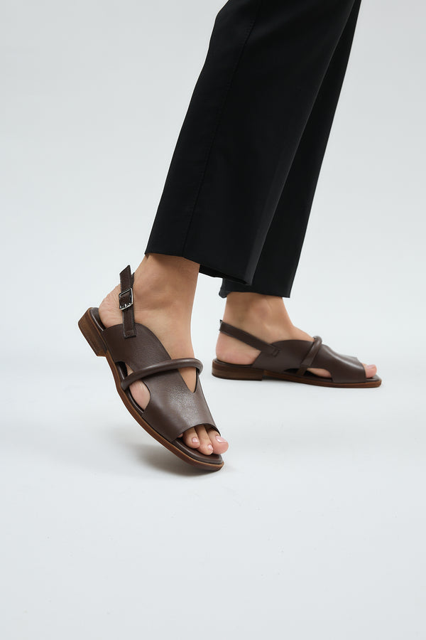 Bergen Brown