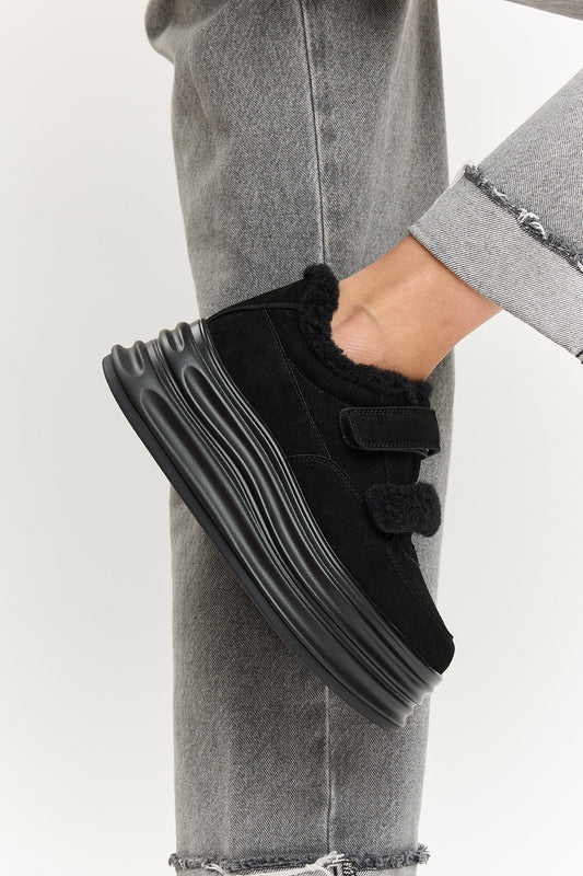 Hadley Black