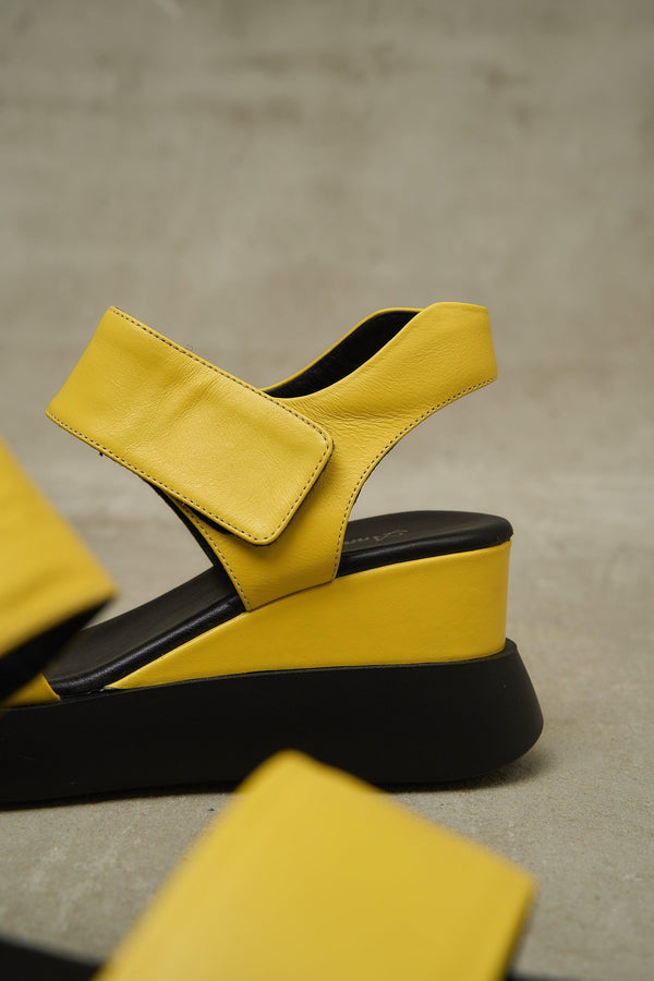 Cample Platforms, Yellow